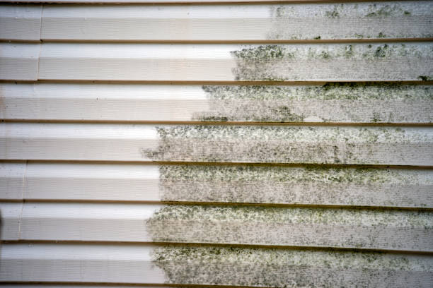 Best Attic Cleanout  in Winchester, MO