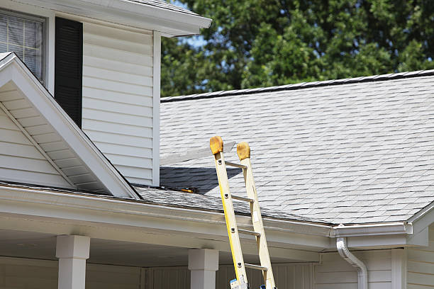 Best Hoarding Cleanup  in Winchester, MO